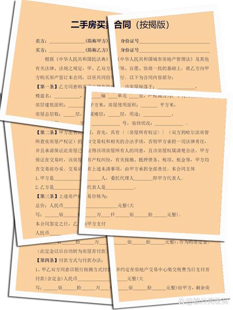 上海租房潮：年轻人的选择与思考